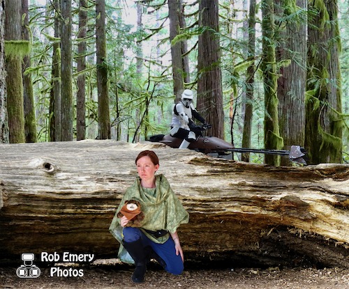 Leia in hiding on Endor